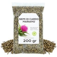 Semi cardo mariano usato  Italia