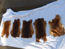 Hasenfell hasenfelle felle gebraucht kaufen  Geislingen an der Steige