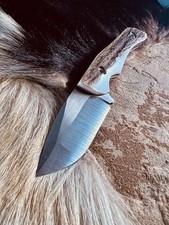 cub kodiak for sale cub kodiak for sale Englewood