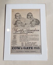 1949 cow gate for sale  COLERAINE