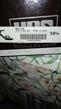 Scarpe donna cesare usato  Grottammare