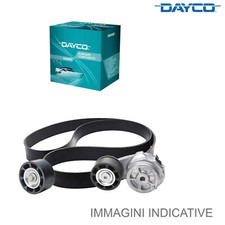 Tenditore ausiliario dayco usato  Italia