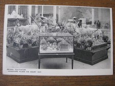 British empire exhibition for sale  WARRINGTON