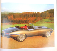 Jaguar type serie gebraucht kaufen  Rüsselsheim am Main