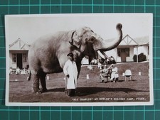 Vintage postcard. elephant for sale  DERBY