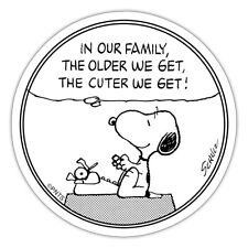 Peanuts snoopy geburtstagsdesi gebraucht kaufen  Leipzig
