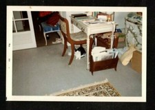 Vintage photograph cute for sale  Greeley