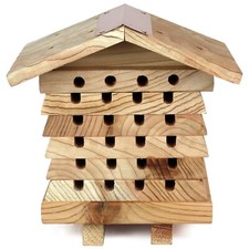 2nds solitary bee for sale  CREDITON