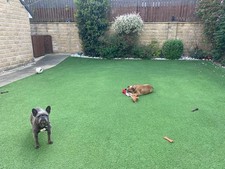 Artificial grass sale for sale  PUDSEY
