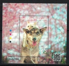 TAILANDIA 2024 AMA A TU MASCOTA DÍA (GATO Y PERRO) HOJA DE RECUERDO DE 1 SELLO COMO NUEVO MNH segunda mano  Embacar hacia Mexico
