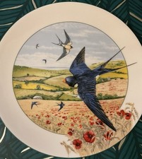 Gorgeous royal doulton for sale  WINSCOMBE