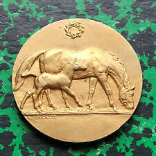 Paris superbe médaille d'occasion  Romorantin-Lanthenay