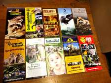 Flyer zoo tierpark gebraucht kaufen  Emmerthal