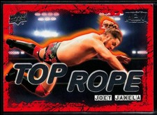 Usado, 2021 Upper Deck AEW Top Rope #TR-6 Joey Janela comprar usado  Enviando para Brazil