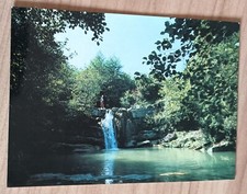 Cartolina italia firenze usato  Benevento