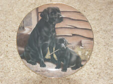 Like father like for sale  DAVENTRY