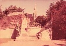 Albert jardin public d'occasion  Expédié en Belgium