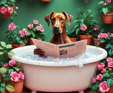 Rhodesian ridgeback bath for sale  DUNSTABLE