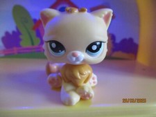 Petshop chat persian d'occasion  Expédié en Belgium