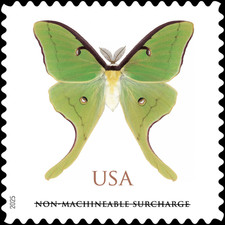 #6031 2025 Luna Moth - MNH (após 16 de agosto) comprar usado  Enviando para Brazil