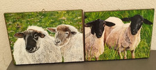 Lot tableaux moutons d'occasion  Cagnes-sur-Mer