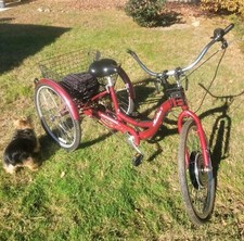 Schwinn electric wheel for sale  East Taunton