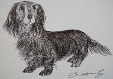 Desenho original a caneta e tinta de um cão Dachshund de pêlo longo em papel branco marfim, usado comprar usado  Enviando para Brazil