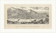 Panorama heidelberg dem gebraucht kaufen  Grabenstätt