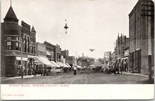 Usado, Spring Valley MN~Main St~Loja de Roupas Chen Preço Único~Móveis e Caixões~c1905 comprar usado  Enviando para Brazil