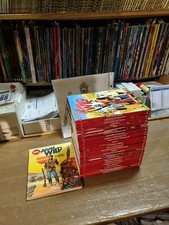Adam wild completa usato  Imola