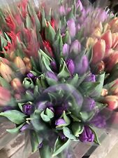 Mixed tulips free for sale  CAMBRIDGE