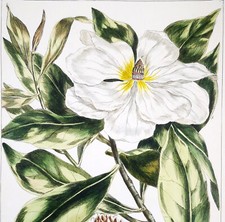 1755 miller antichi usato  Urbino