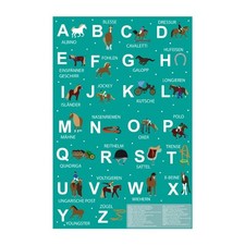 Alphabet lernposter pferde gebraucht kaufen  Leipzig