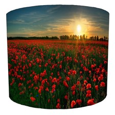 Colourful poppy floral for sale  BOLTON