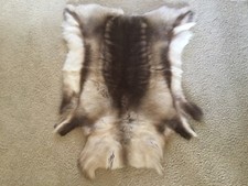 Caribou hide authentic for sale  Southlake