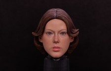 Usado, Logan's Run Jessica 6 Jenny Agutter cabeça personalizada 1/6 1:6 brinquedos quentes pintados para show lateral comprar usado  Enviando para Brazil