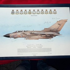 Signed squadron print for sale  KING'S LYNN