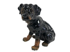rottweiler dog for sale rottweiler dog for sale RUGBY