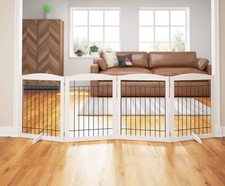 Extra wide dog for sale  Saint Johnsbury