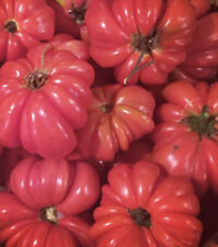 Mushroom basket tomato for sale  Bothell