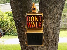 Complete walk dont for sale  Greenville
