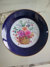 Porzellan schale kobalt gebraucht kaufen Porzellan schale kobalt gebraucht kaufen  Klosterlechfeld