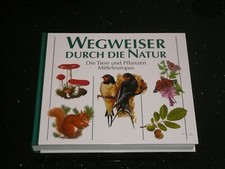 Buch wegweiser durch gebraucht kaufen  Bochum