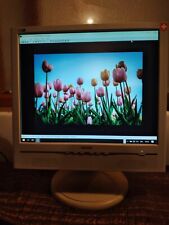 Philips lcd monitor usato  Chioggia