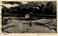 Walsrode lüneburger heide gebraucht kaufen Walsrode lüneburger heide gebraucht kaufen  Berlin