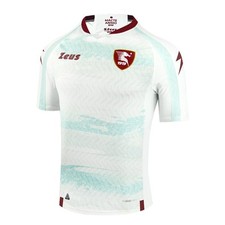 Salernitana 1919 zeus gebraucht kaufen  Eilenburg