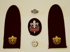 senior scouts for sale senior scouts for sale FORDINGBRIDGE