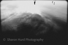 Abstract black white for sale  Costa Mesa