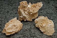 Sandrosen ....... wüstenrose gebraucht kaufen  Deutschland