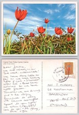 Cartão postal c39309 Chipre tulipa tulipa Chipre do Norte KKTC 2014 selo comprar usado  Enviando para Brazil
